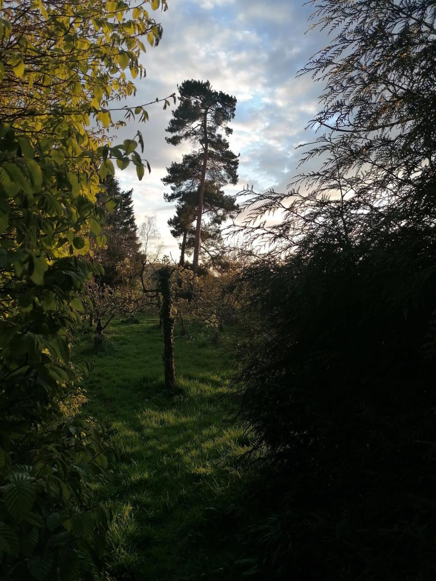 ホテル Stargazer Glamping Uk The Mahal 8 People Ross-on-Wye エクステリア 写真